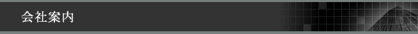 company_profile